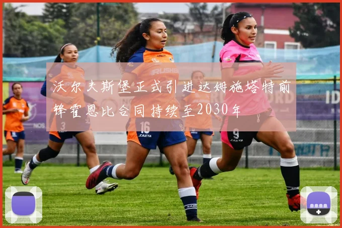 沃尔夫斯堡正式引进达姆施塔特前锋霍恩比合同持续至2030年
